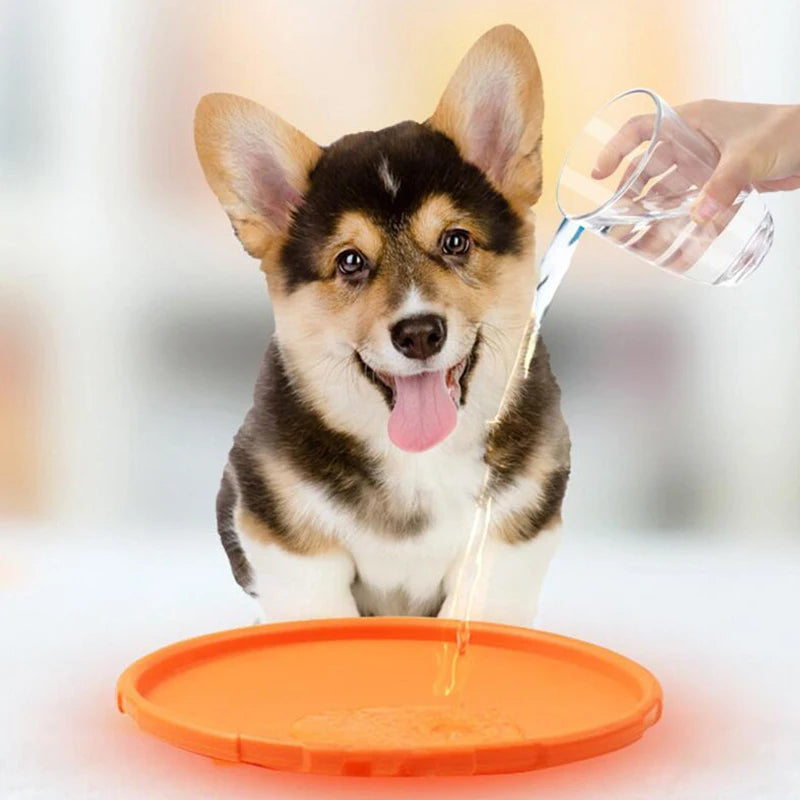 Soft Flexible Rubber Flying Disc for Dogs 4 Colors Foldable Interactive Pet Toy Training Supplies S M L Sizes