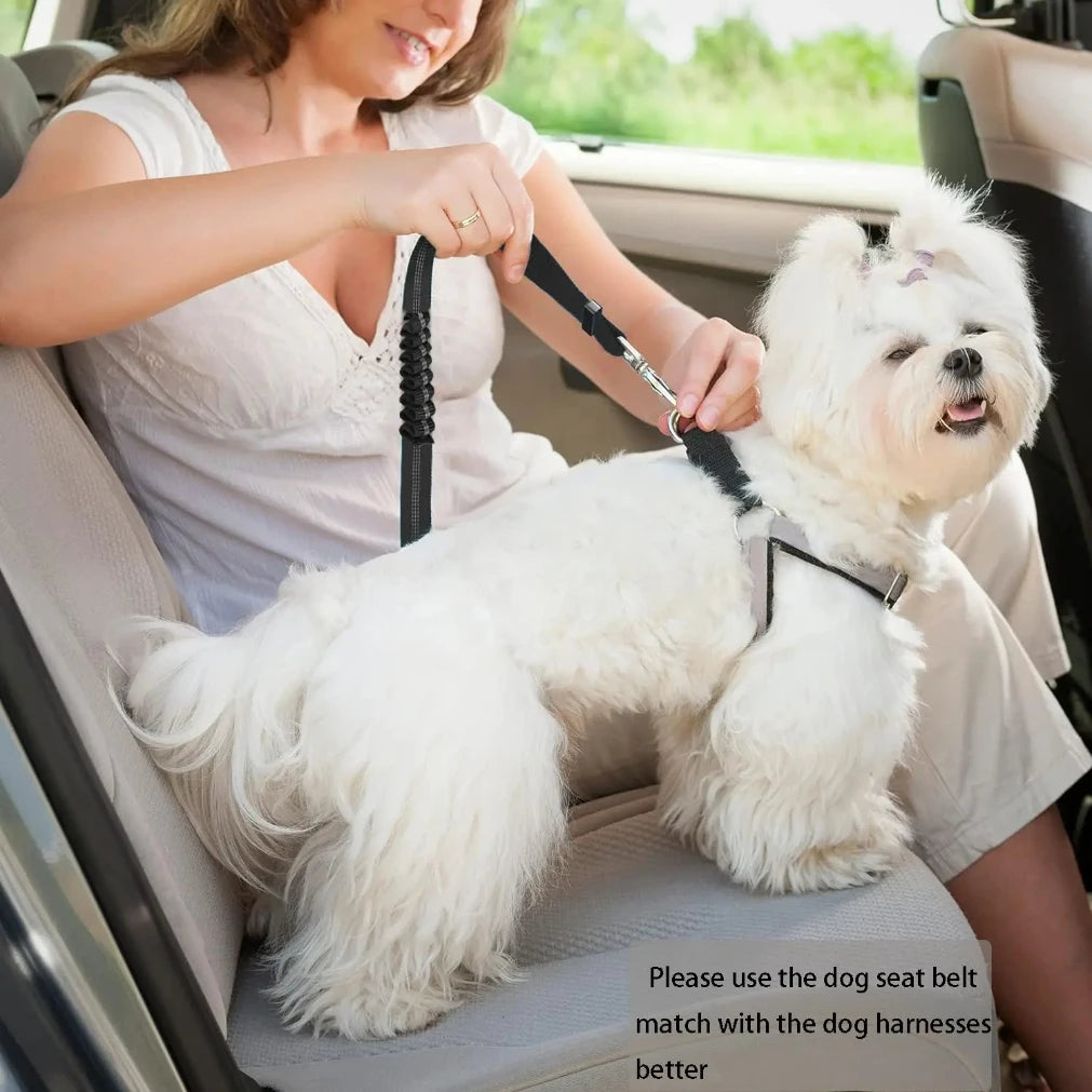 Adjustable Heavy Duty Striped Nylon Dog Car Seat Belt Traction Rope for All Breeds Safe Car Rides